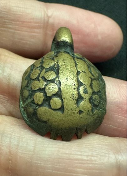 เต่าเรือน​หลวงพ่อเงิน รูปที่ 2