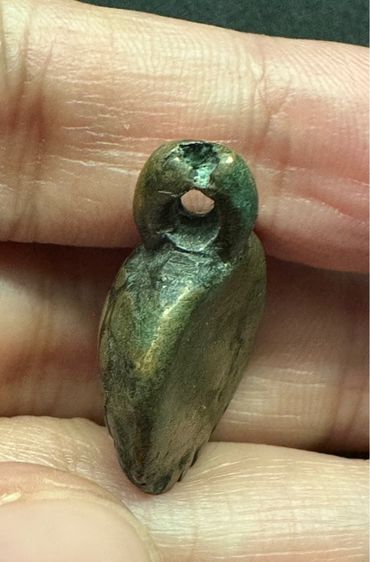 เต่าเรือน​หลวงพ่อเงิน รูปที่ 5