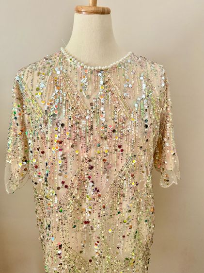 แขนสั้น น้ำตาล ฟรีไซส์ เดรส | จั๊มสูท Sequin shortsleeve dress man made embroidery mesh in lined pearly circular neck