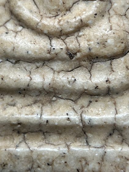 พระสมเด็จวัดระฆังพิมพ์ใหญ่กรอบกระจก ส่งตามรูป (47) รูปที่ 8