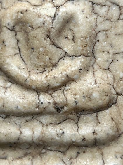 พระสมเด็จวัดระฆังพิมพ์ใหญ่กรอบกระจก ส่งตามรูป (47) รูปที่ 7