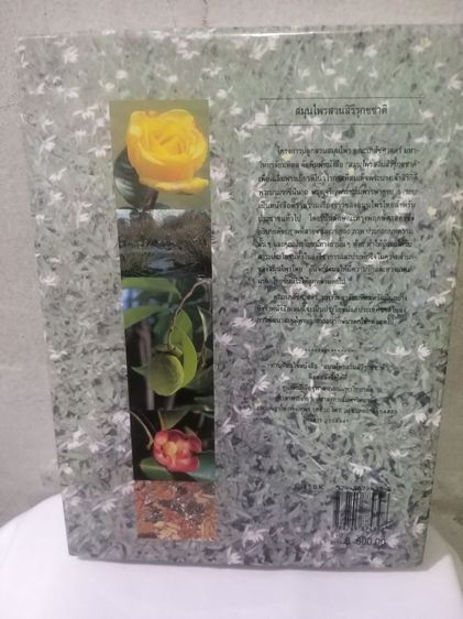 สวนสมุนไพรสวนสิรีรุกขชาติ โดยคณะเภสัชศาสตร์ มหาวิทยาลัยมหิดล รูปที่ 2