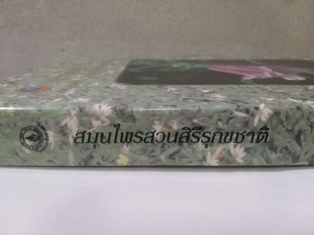 สวนสมุนไพรสวนสิรีรุกขชาติ โดยคณะเภสัชศาสตร์ มหาวิทยาลัยมหิดล รูปที่ 3