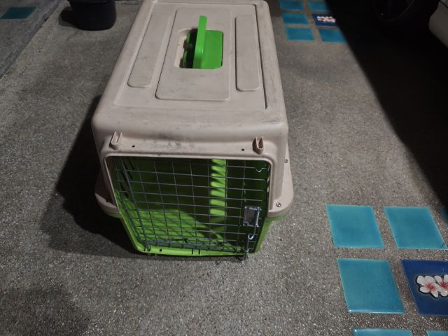 ขายกรงสุนัข 60×60×45 ชม. รูปที่ 3