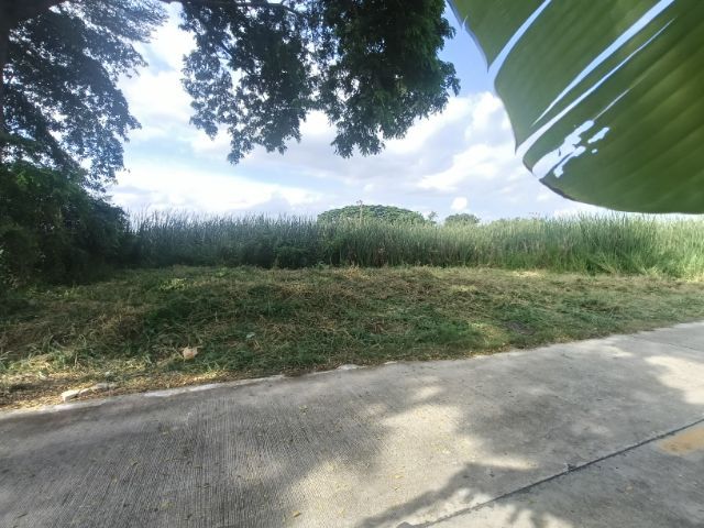 ที่ดินคลอง4 ซอยชมทุ่ง