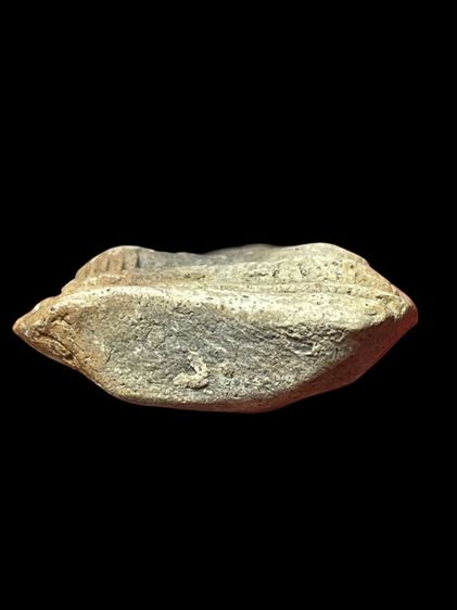 พระเปิมลำพูน รูปที่ 4