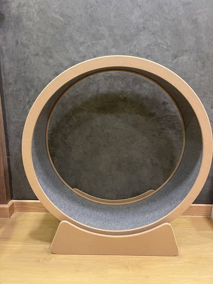 ลู่วิ่งเเมว รูปที่ 3