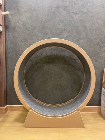 ลู่วิ่งเเมว รูปที่ 2