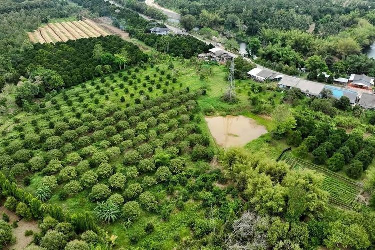 ที่ดิน อ.มะขาม จ.จันทบุรี  รูปที่ 2