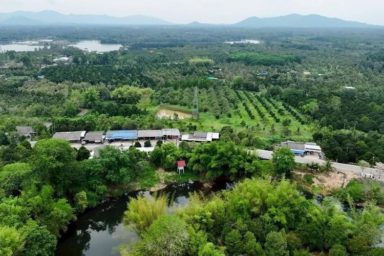 ที่ดิน อ.มะขาม จ.จันทบุรี  รูปที่ 4