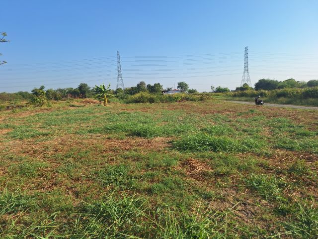 ใช่ ขายที่ดิน ตำบลหอมศีล 2,250,000 เช่า เดือนละ 5,500 บ. ต่อ เดือน รูปที่ 4