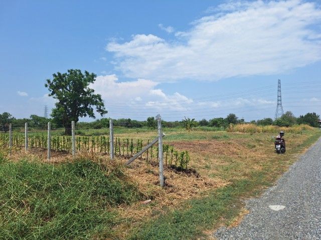 ขายที่ดิน ตำบลหอมศีล 2,250,000 เช่า เดือนละ 5,500 บ. ต่อ เดือน