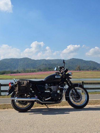 Bonneville Triumph T100 Aircool 2015
