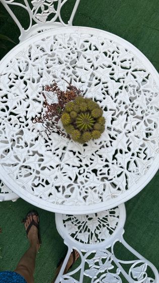 โต๊ะสนามอันลอย รูปที่ 9