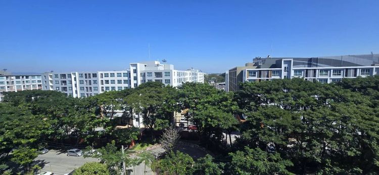 ตกแต่งครบ Sansiri 2025 ไม่อนุญาต ไม่ใช่ ให้เช่าเมคินเฮาส์ คอนโดมิเนียมใกล้เซ็นทรัลเฟสติวัล