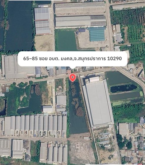 ขายที่ดินพระราม2 หัวกระบือ รูปที่ 2