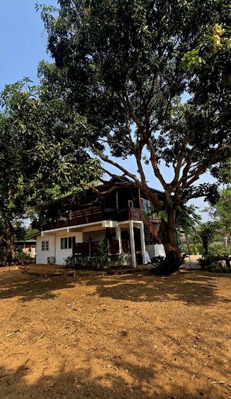 ขายบ้านสวนอิงดอยบรรยกาศดีวิวภูเขาสวย