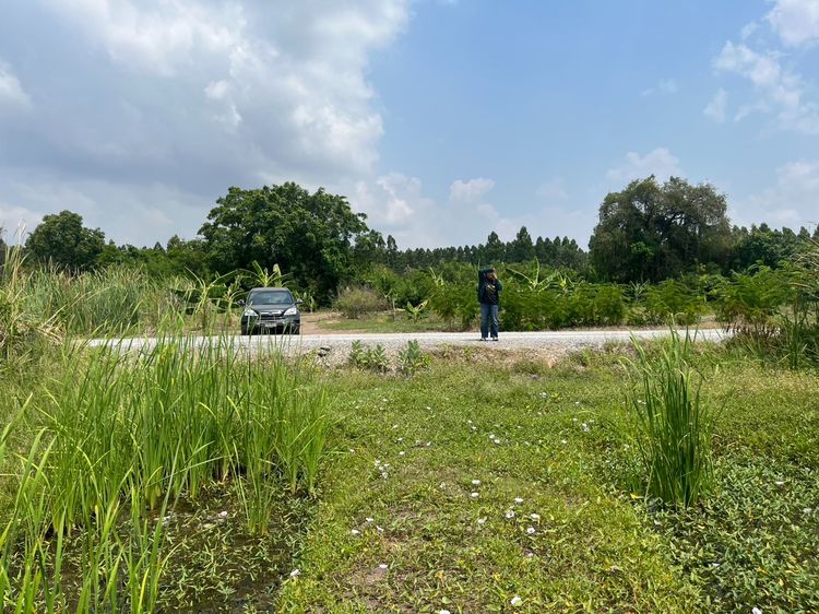 ขายที่ดินเปล่า 100 ตารางวา ราคา 1.7 ล้านบาท ทำเลศักยภาพ ใกล้ชุมชน รูปที่ 2