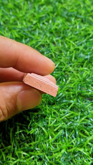 พระหางหมาก หลวงปู่ฤาษีลิงดำ รูปที่ 8