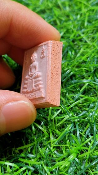 พระหางหมาก หลวงปู่ฤาษีลิงดำ รูปที่ 4