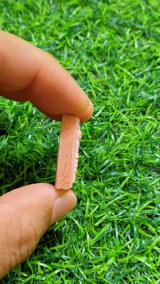 พระหางหมาก หลวงปู่ฤาษีลิงดำ รูปที่ 7