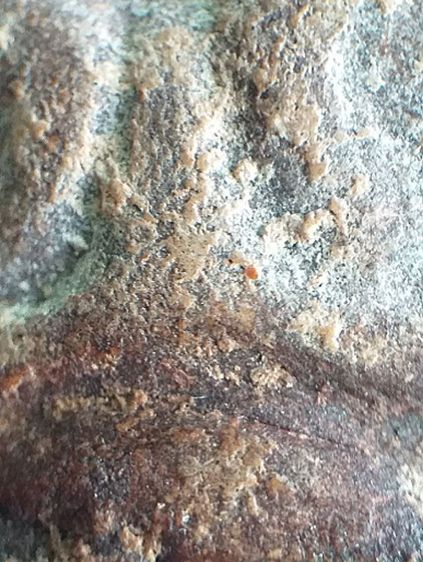 หลวงพ่อแก้ว วัดเครือวัลย์. รูปที่ 12