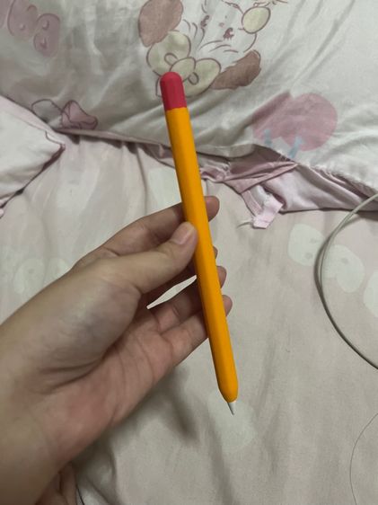 Case Iped  รูปที่ 4