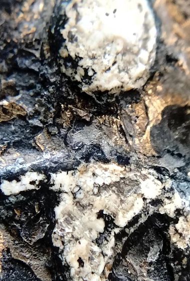 พระสมเด็จ วัดระฆัง บางขุนพรหม วัดเกศไชโย หลวงปู่ภู หลวงปู่นาค รูปที่ 8