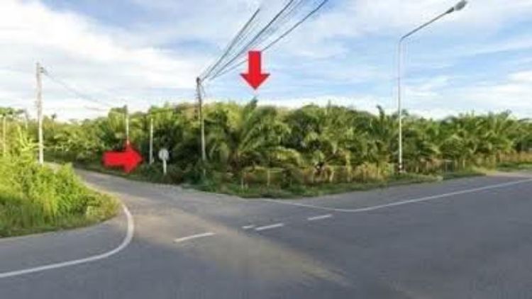 ใช่ ขายที่ดินพร้อมสวนปาล์ม 2ไร่