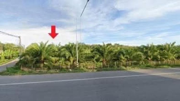 ใช่ ขายที่ดินพร้อมสวนปาล์ม 2ไร่ รูปที่ 2