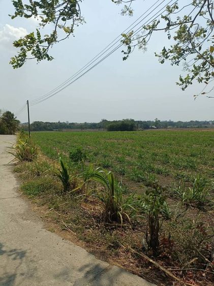 ใช่ ขายที่ดินไร่อ้อยลพบุรี รูปที่ 3