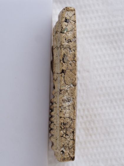 พระสมเด็จ วัดเกศไชโย 12016917 รูปที่ 4