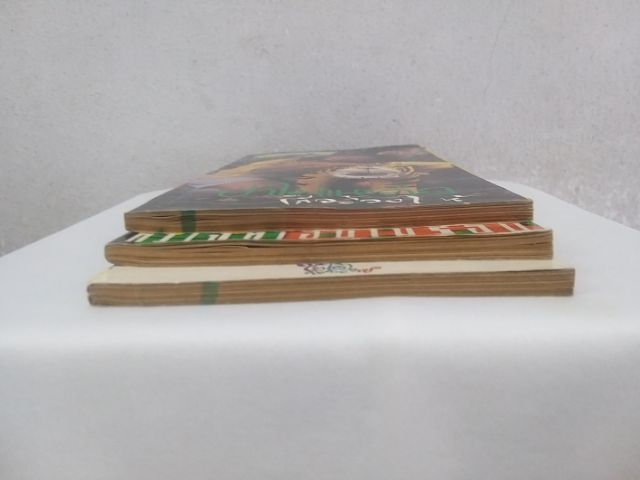 ไปยาลใหญ่ ฉบับที่ 40 ,41 ,42 รูปที่ 3