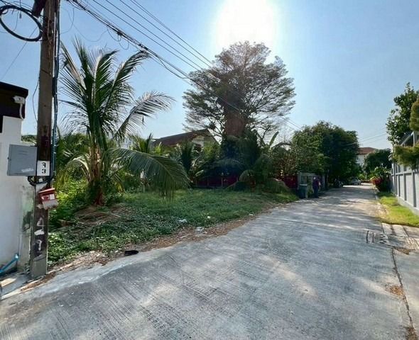 ขายที่ดิน 110 ตารางวา ซอย ลาดพร้าว 93 ต. คลองจั่น อ. บางกะปิ กรุงเทพมหานคร รูปที่ 3
