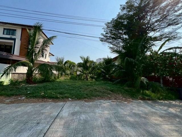 ขายที่ดิน 110 ตารางวา ซอย ลาดพร้าว 93 ต. คลองจั่น อ. บางกะปิ กรุงเทพมหานคร  