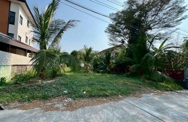 ขายที่ดิน 110 ตารางวา ซอย ลาดพร้าว 93 ต. คลองจั่น อ. บางกะปิ กรุงเทพมหานคร   รูปที่ 4
