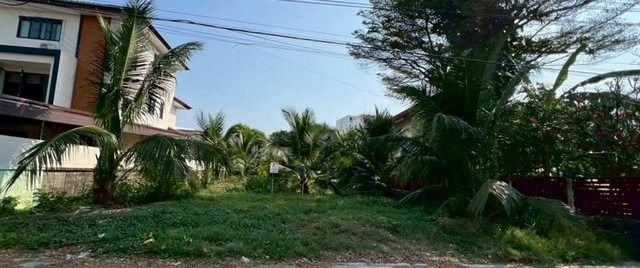 ขายที่ดิน 110 ตารางวา ซอย ลาดพร้าว 93 ต. คลองจั่น อ. บางกะปิ กรุงเทพมหานคร รูปที่ 2