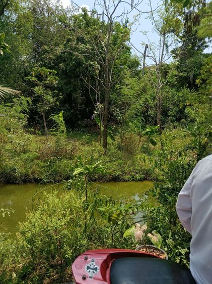 ใช่ ที่ดินเปล่า 70 ตารางวา รูปที่ 2