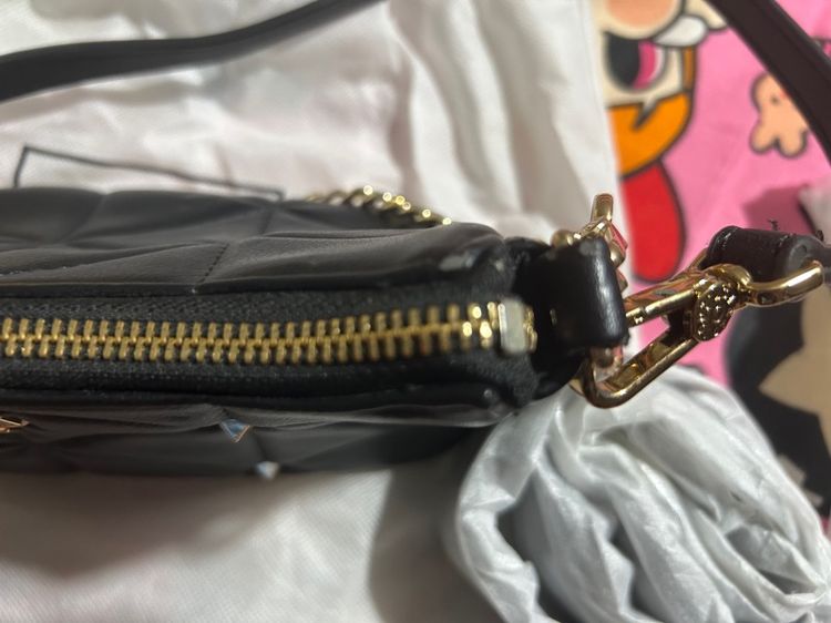 ลินแท้ ร่วมส่ง1000 รูปที่ 3