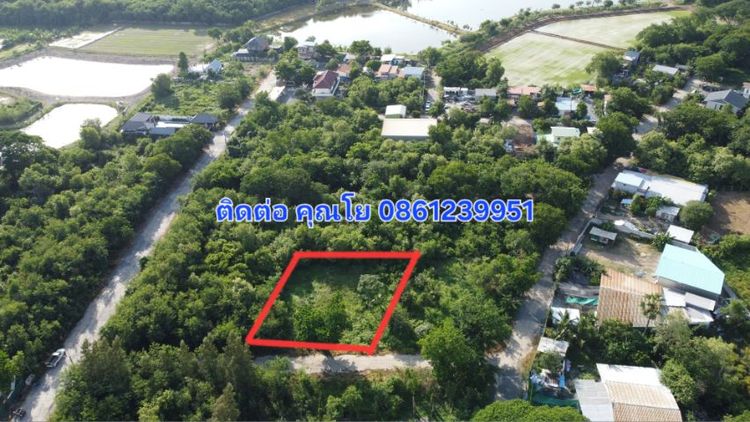 ใช่ ขายที่ปทุมธานี รูปที่ 3