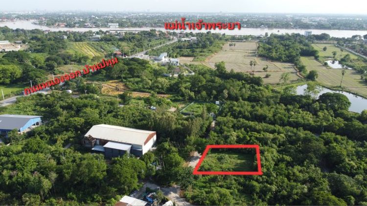 ใช่ ขายที่ปทุมธานี รูปที่ 2