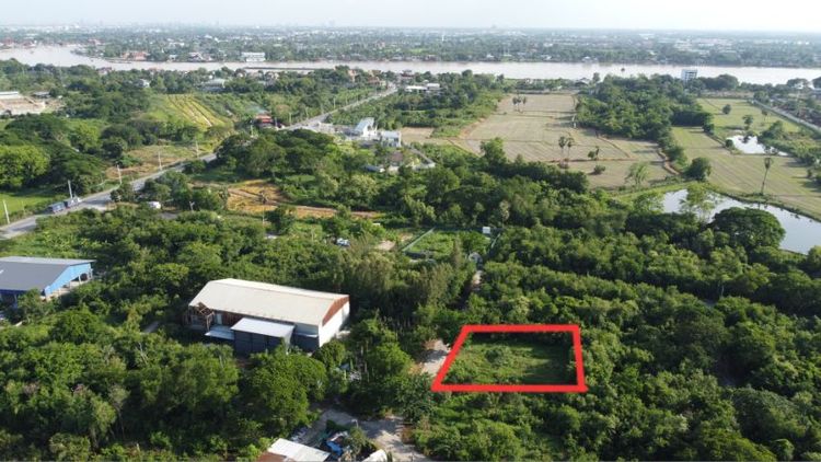 ใช่ ขายที่ปทุมธานี รูปที่ 4