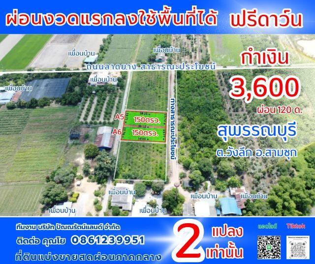 ใช่ ขายที่สุพรรณบุรี รูปที่ 3