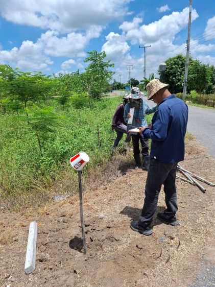 ใช่ ขายที่สุพรรณบุรี รูปที่ 4