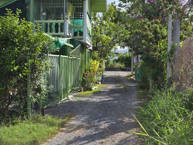 ใช่ ขายที่สามโคก ปทุมธานี รูปที่ 4