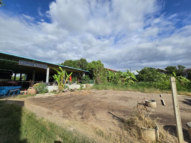 ใช่ ขายที่สามโคก ปทุมธานี รูปที่ 2