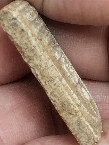 สมเด็จวัดระฆังพิมพ์ฐานแซม รูปที่ 4