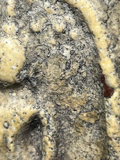 พระสมเด็จวัดระฆังพิมพ์ปรกโพธิ์เล็ก ส่งตามรูป (49) รูปที่ 6