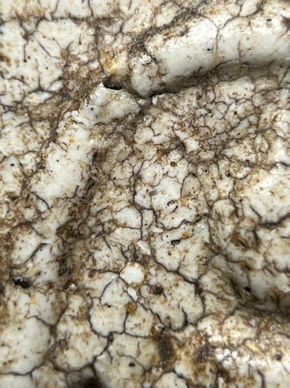 พระสมเด็จวัดระฆังพิมพ์ใหญ่โค้ชระฆัง ส่งตามรูป (50) รูปที่ 5