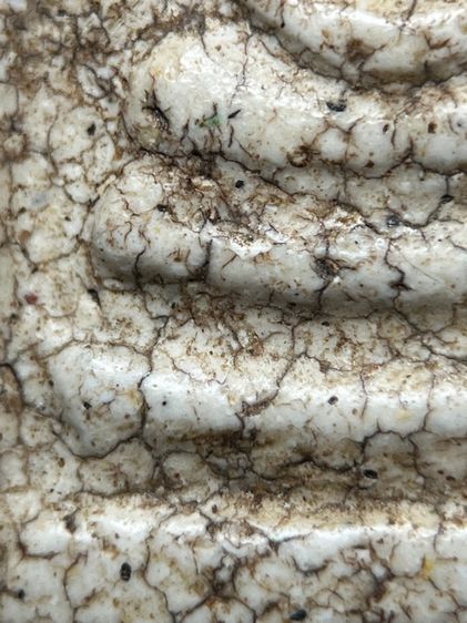 พระสมเด็จวัดระฆังพิมพ์ใหญ่โค้ชระฆัง ส่งตามรูป (50) รูปที่ 8